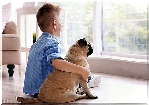 Best Small Dogs for Kids