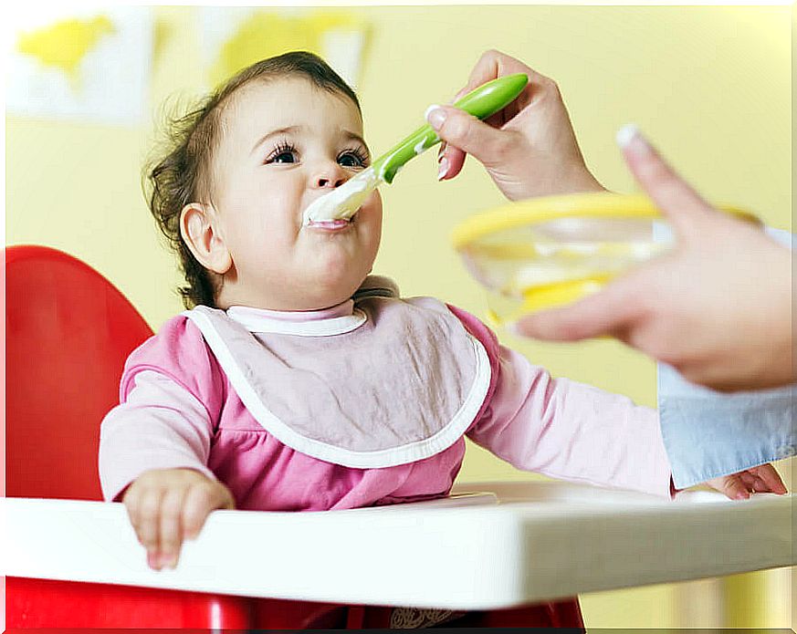 Vegetable purees for babies are ideal to start their complementary feeding.