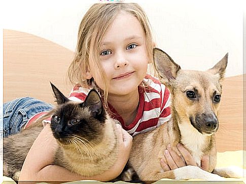 If my child is bitten by a dog, he is likely to develop a great fear of them.