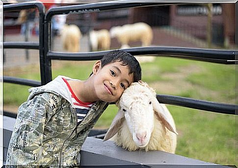 Children love visiting zoos and farms to see animals.